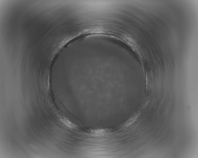 X0000065260301200602171502