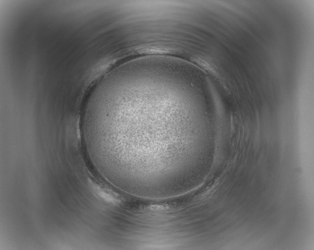 X0000065260302200602171502