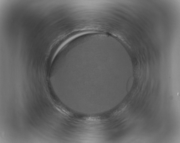 X0000065260303200602171502