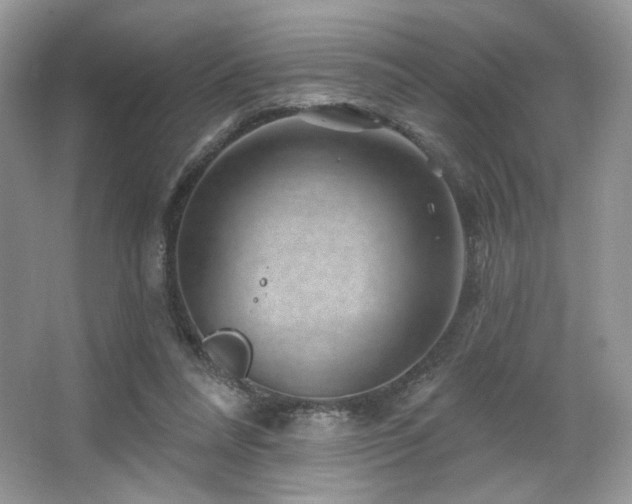 X0000065260304200602171502