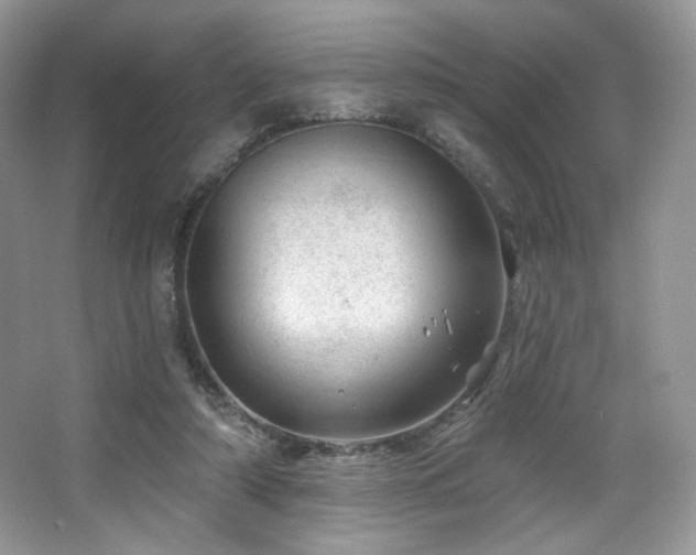 X0000065260306200602171502