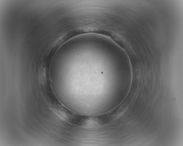 X0000065260308200602171502