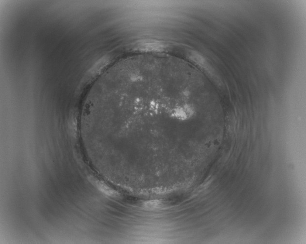 X0000065260309200602171502