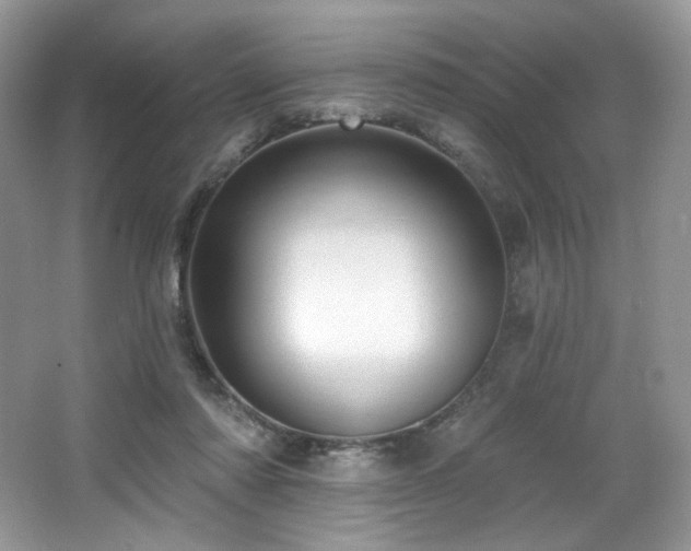 X0000065260310200602171502