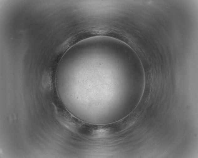 X0000065260312200602171501