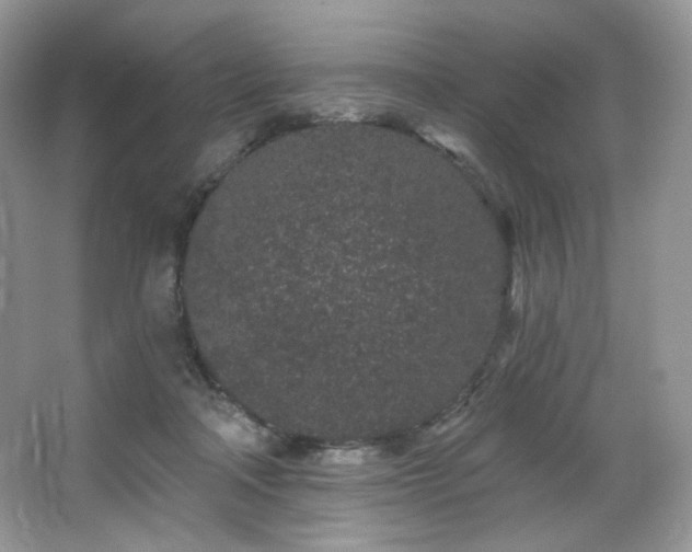 X0000065260314200602171501