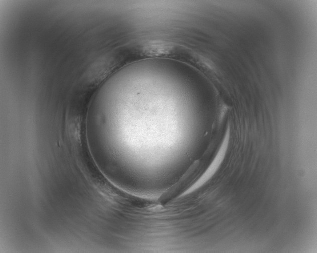 X0000065260315200602171501