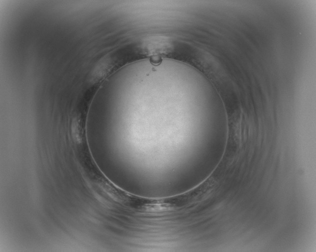 X0000065260316200602171501