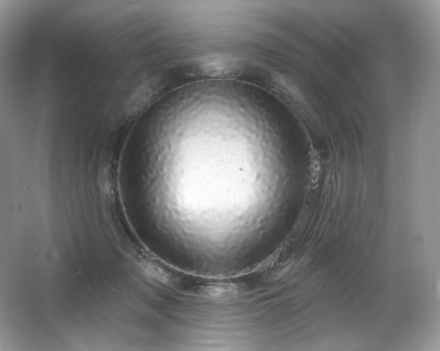 X0000065260317200602171501