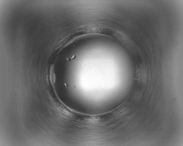 X0000065260318200602171501