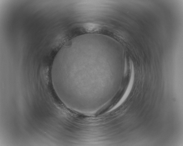 X0000065260319200602171501