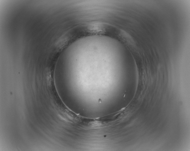 X0000065260320200602171501