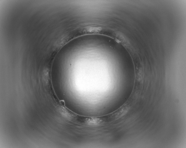 X0000065260321200602171501