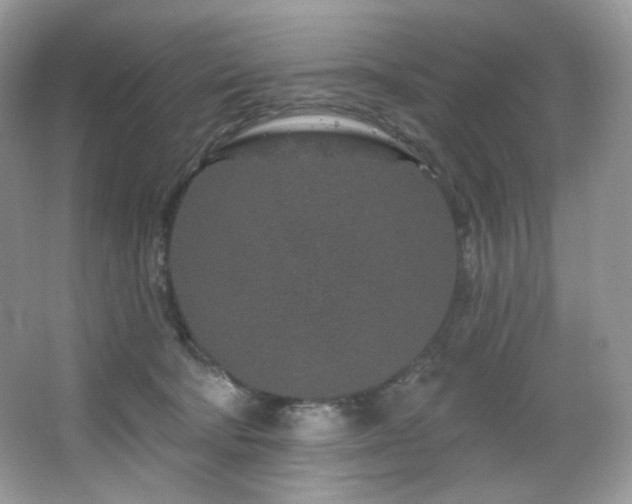 X0000065260322200602171501