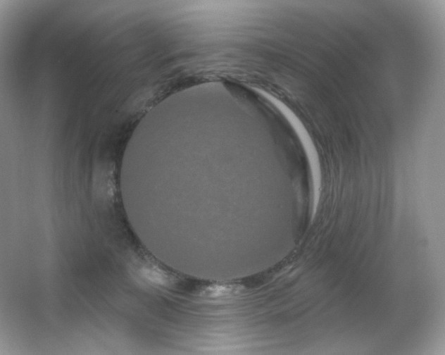 X0000065260323200602171501