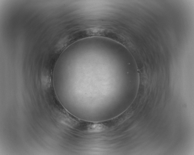 X0000065260324200602171501