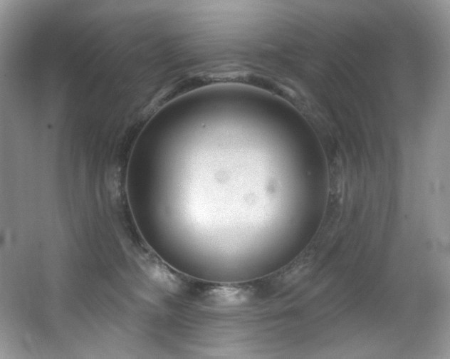 X0000065260326200602171501