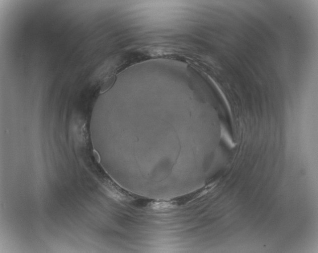 X0000065260327200602171501