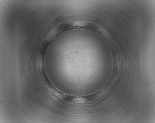 X0000065260328200602171501