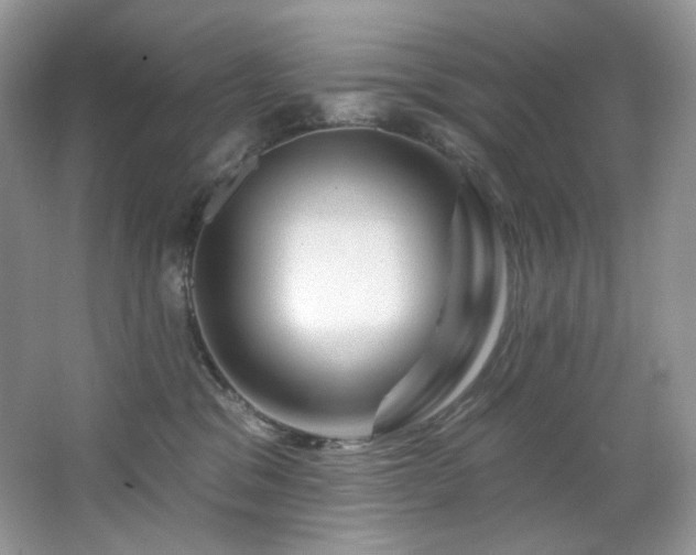 X0000065260329200602171501