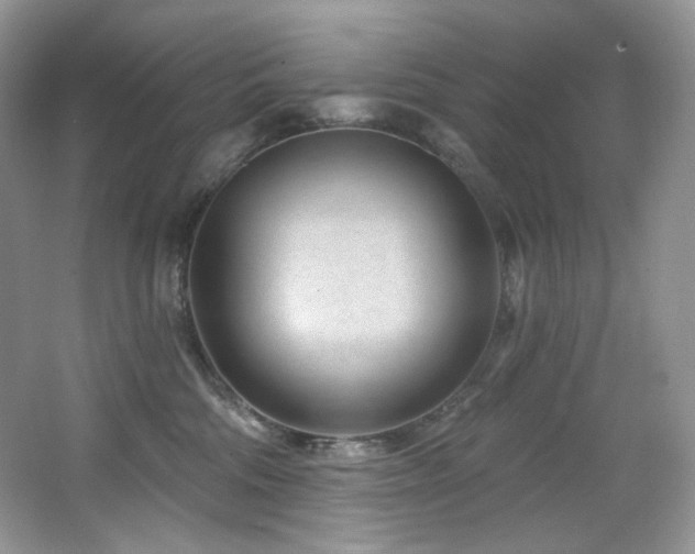 X0000065260330200602171501