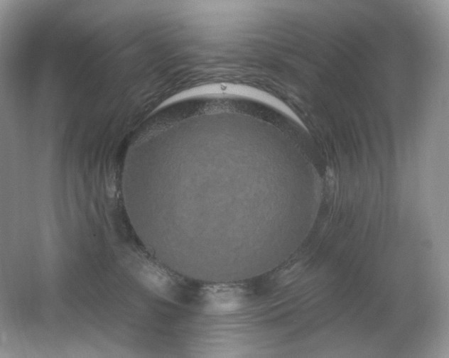 X0000065260331200602171501