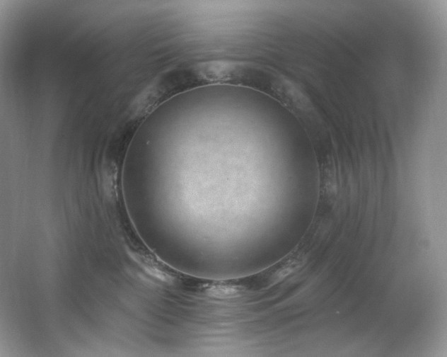 X0000065260332200602171501