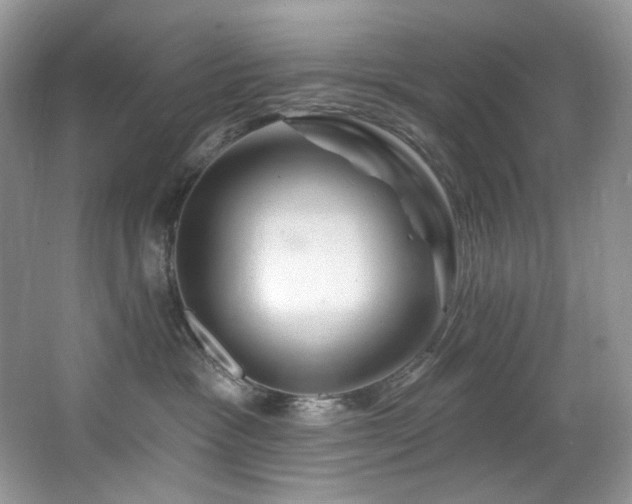 X0000065260333200602171501