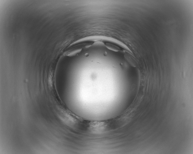 X0000065260334200602171501