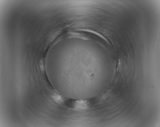 X0000065260335200602171501