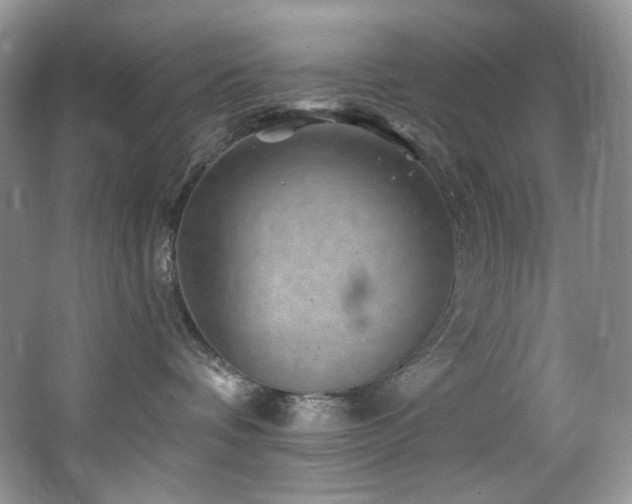 X0000065260336200602171501