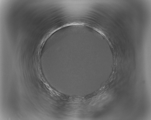 X0000065260337200602171500