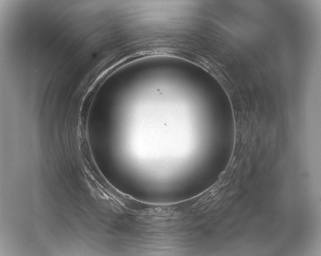 X0000065260338200602171500