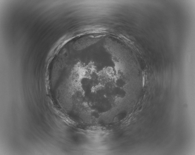 X0000065260339200602171500