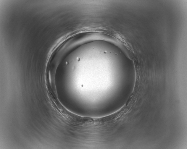 X0000065260340200602171500