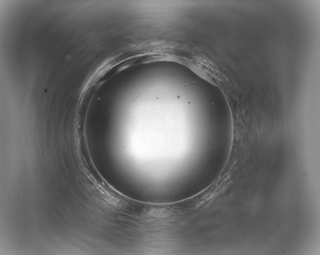 X0000065260341200602171500