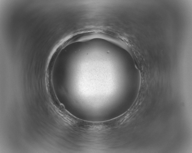 X0000065260342200602171500