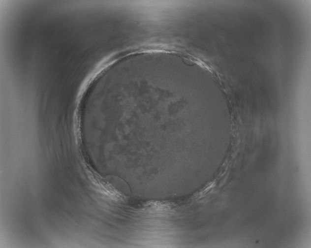 X0000065260343200602171500