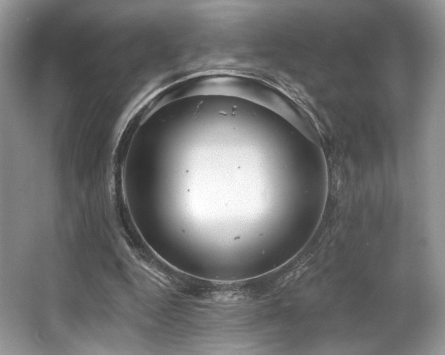 X0000065260344200602171500