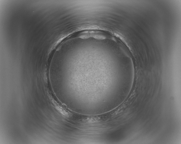 X0000065260345200602171500