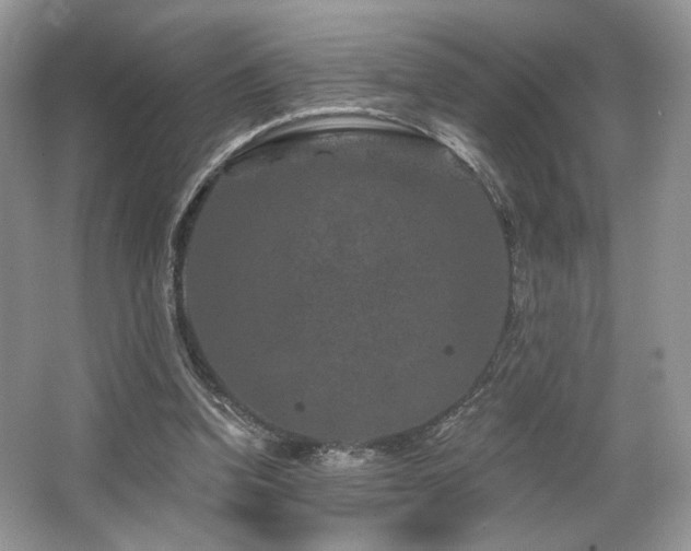 X0000065260346200602171500