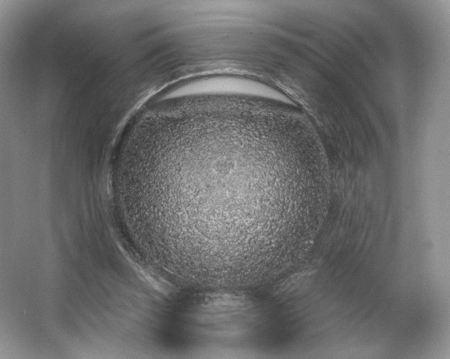 X0000065260347200602171500