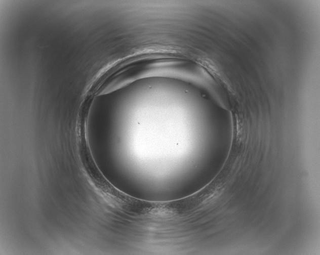 X0000065260348200602171500