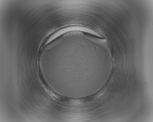 X0000065260349200602171500