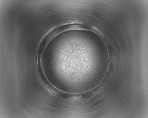 X0000065260350200602171500