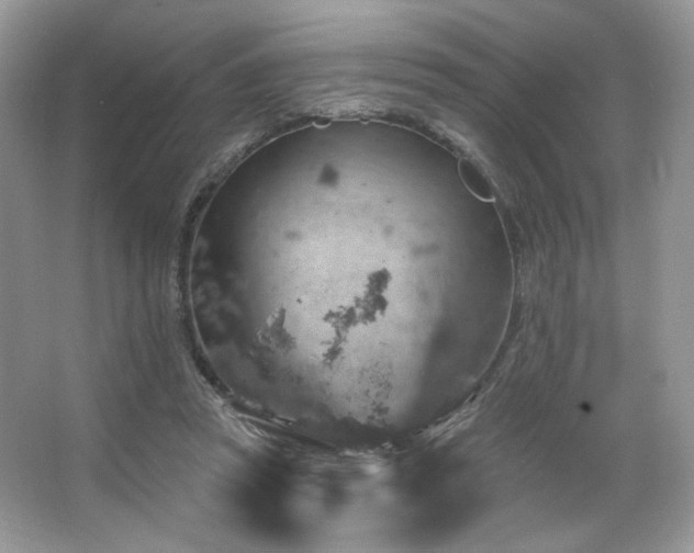 X0000065260353200602171500