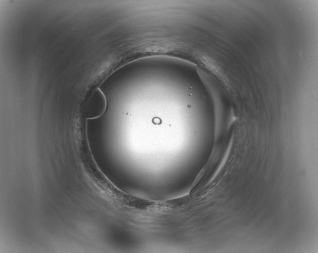 X0000065260354200602171500