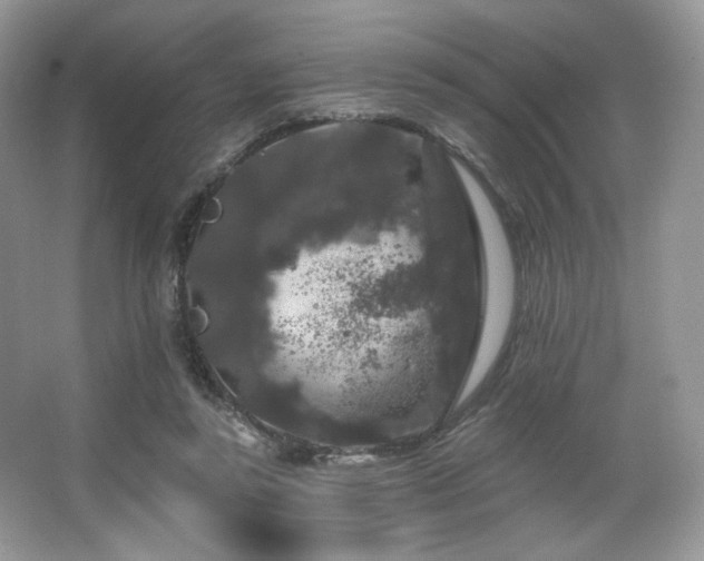 X0000065260355200602171501