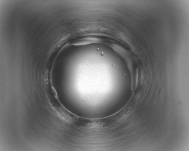 X0000065260356200602171501