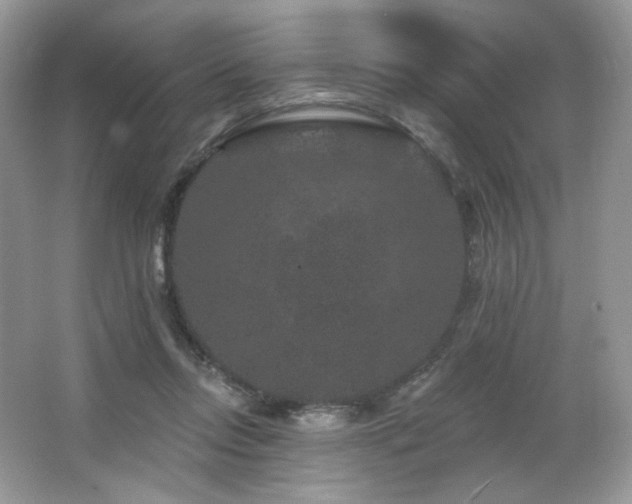 X0000065260358200602171501